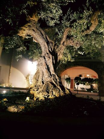 Imagen general del Momentum Wellness Bio Resort. Foto 7