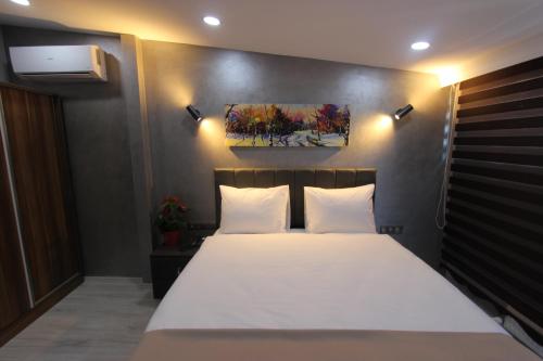 Imagen general del Monezza Hotel. Foto 4