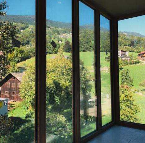 Imagen general del Montafon Suites Schruns by ALPS RESORTS. Foto 10