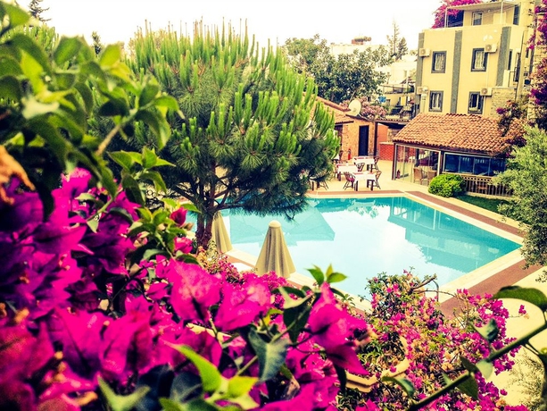 Imagen de la piscina del Moonshine Hotel and Suites. Foto 12