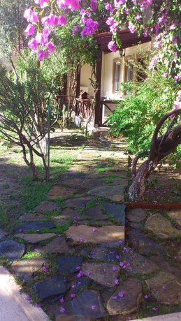 Imagen de los exteriores del Moonshine Hotel and Suites. Foto 6
