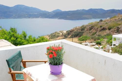 Imagen general del Morfeas Hotel. Foto 1