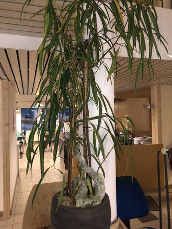 Imagen de los interiores del Motel Drei K&ouml;nig. Foto 19