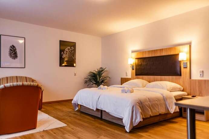 Imagen de la habitación del Motel Zur Dachsbaude. Foto 17