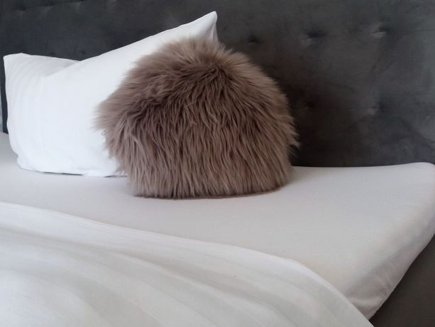 Imagen de la habitación del Motel Zur goldenen Krone. Foto 8