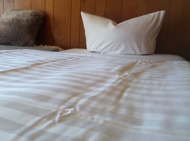 Imagen de la habitación del Motel Zur goldenen Krone. Foto 15