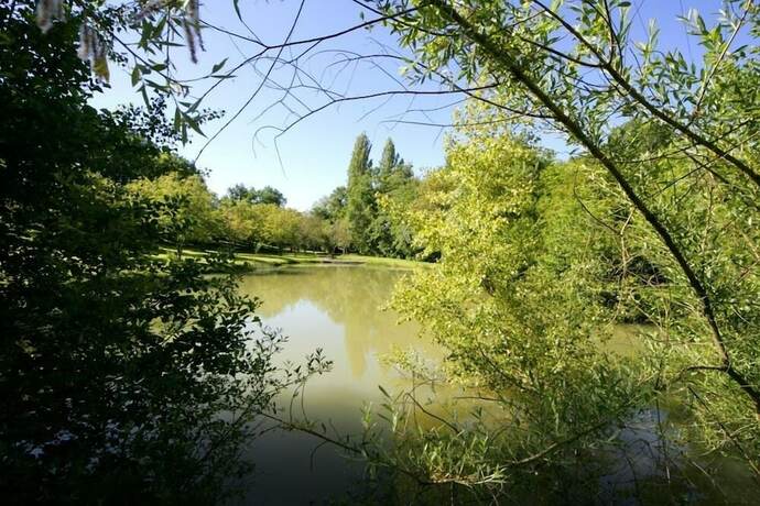 Imagen general del Moulin des Sandaux Natur\'park. Foto 9