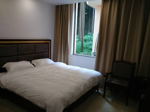Imagen de la habitación del Mount Emei Feng Lin Yue Hotel. Foto 5