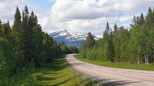 Imagen general del Mountain Holiday Homes - Ottsjö-Sweden. Foto 1