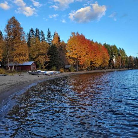 Imagen de la habitación del Mountain Holiday Homes - Ottsj&ouml;-Sweden. Foto 13