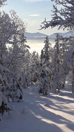 Imagen general del Mountain Holiday Homes - Ottsj&ouml;-Sweden. Foto 4
