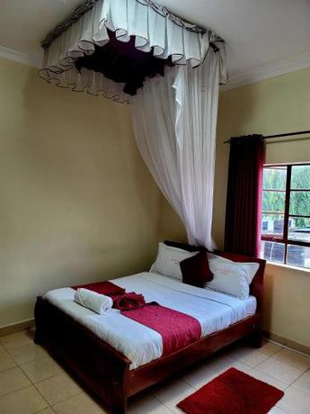 Imagen general del Museum View Hotel. Foto 14