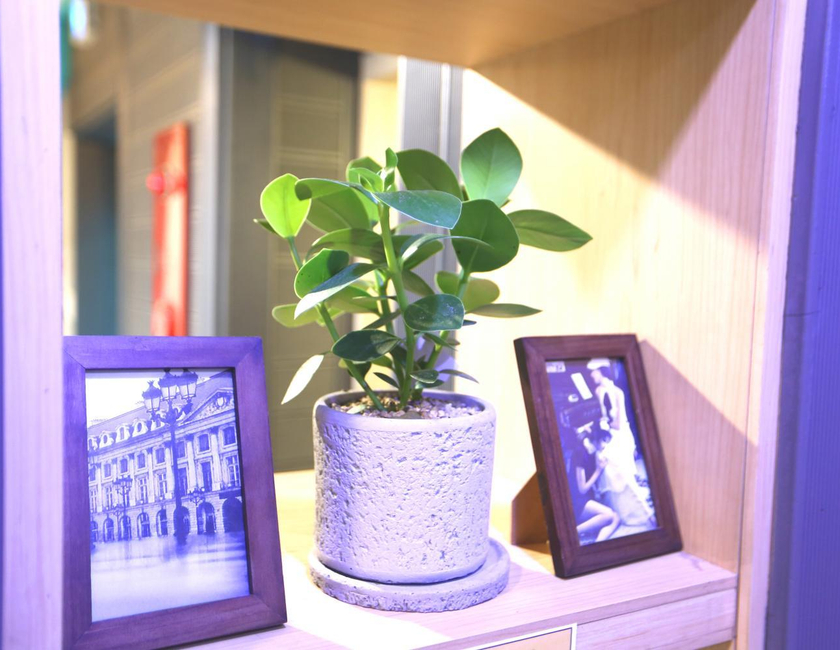 Imagen general del Must Stay Hotel Myeongdong. Foto 25