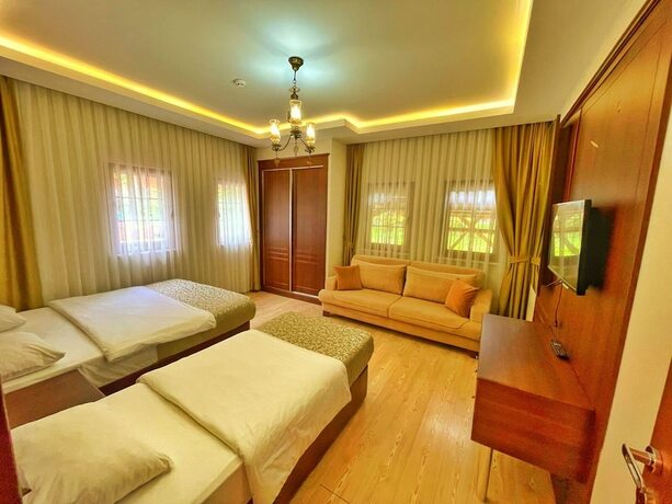 Imagen de la habitación del My Home Uzungol. Foto 16