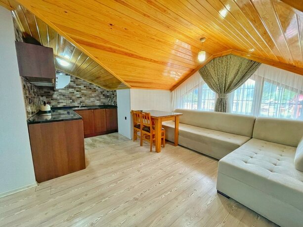 Imagen de la habitación del My Home Uzungol. Foto 17