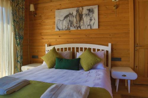 Imagen de la habitación del NEFES DAĞYENİCE. Foto 19