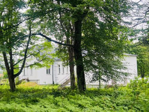 Imagen general del NYGÅRD boende. Foto 5