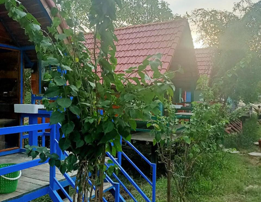 Imagen general del Nam Cat Tien Shack Long House. Foto 3