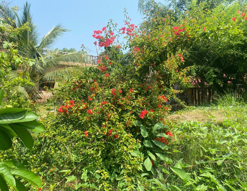 Imagen general del Nam Cat Tien Shack Long House. Foto 18