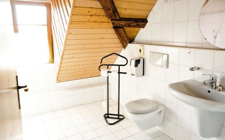 Imagen general del Napoleon, Rheinbischofsheim. Foto 3