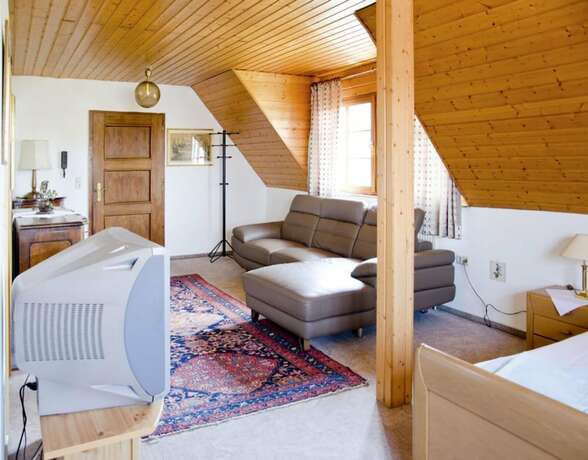 Imagen de la habitación del Napoleon, Rheinbischofsheim. Foto 16