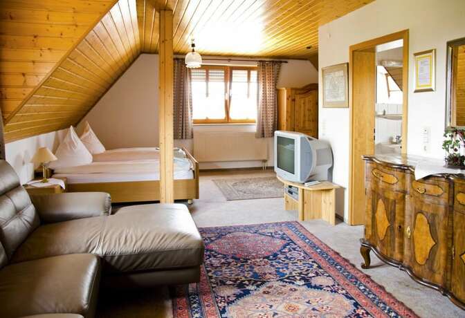 Imagen de la habitación del Napoleon, Rheinbischofsheim. Foto 17