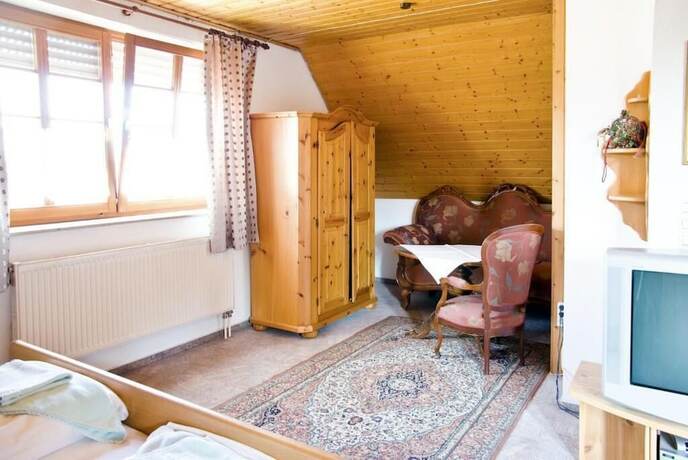 Imagen general del Napoleon, Rheinbischofsheim. Foto 7