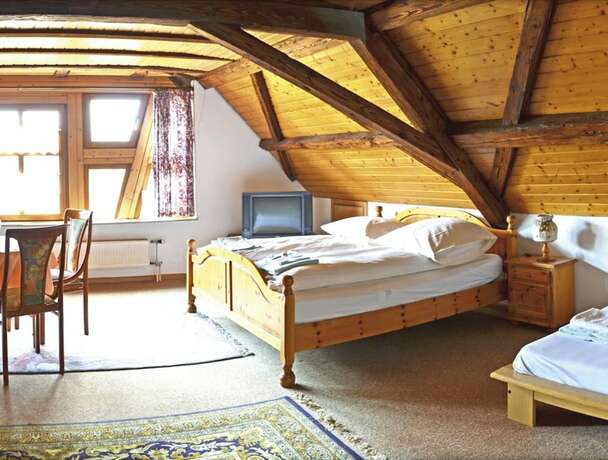 Imagen de la habitación del Napoleon, Rheinbischofsheim. Foto 19