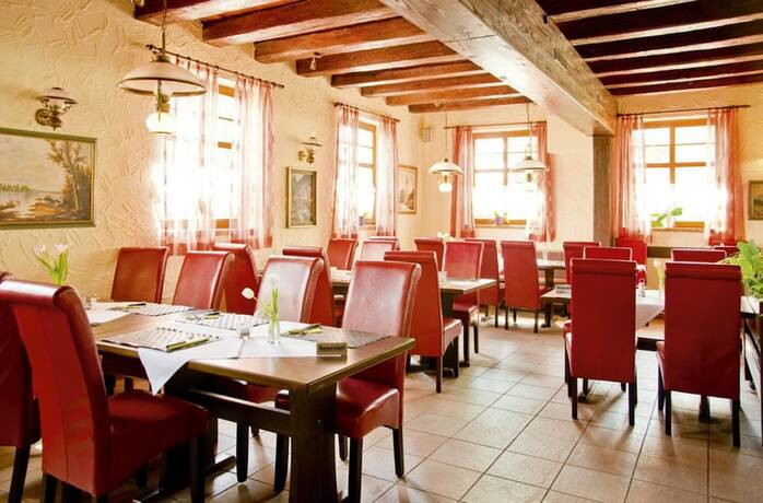 Imagen general del Napoleon, Rheinbischofsheim. Foto 14