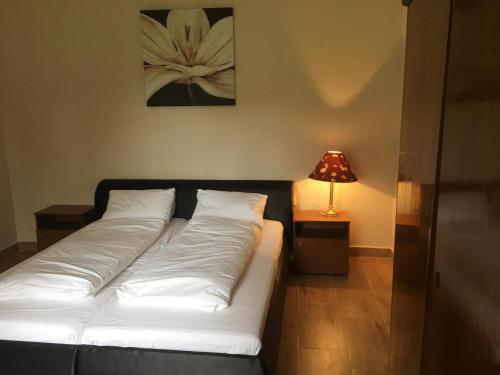 Imagen general del Napsugár Club és Panzió. Foto 6