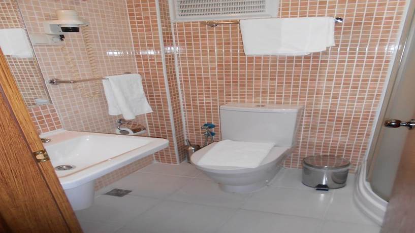 Imagen de la habitación del Nas Hotel, Karaman. Foto 11