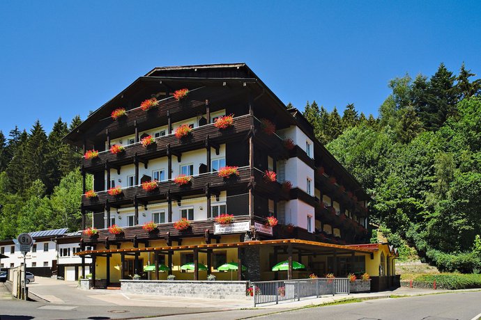 Imagen general del Natur- und Wanderhotel am Steinbachtal. Foto 1