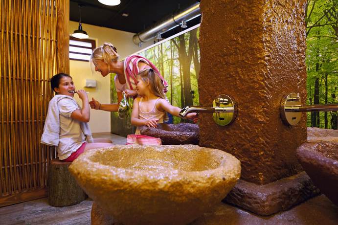 Imagen de la habitación del Natur-Resort Tripsdrill. Foto 9