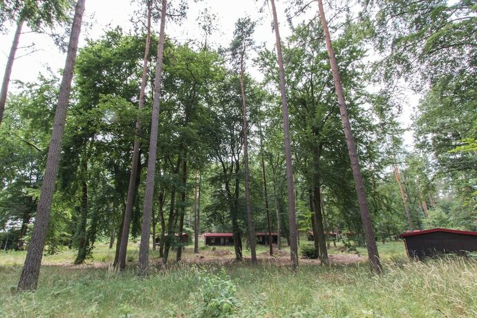 Imagen general del Natura-Familienpark Grimnitzsee Recreation Park. Foto 14