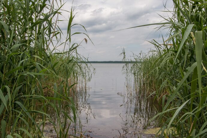 Imagen general del Natura-Familienpark Grimnitzsee Recreation Park. Foto 17
