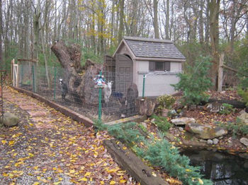 Imagen general del Nature's Energy Centre Retreat. Foto 2