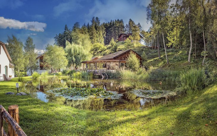 Imagen de la piscina del Naturhotel Saalerwirt. Foto 20