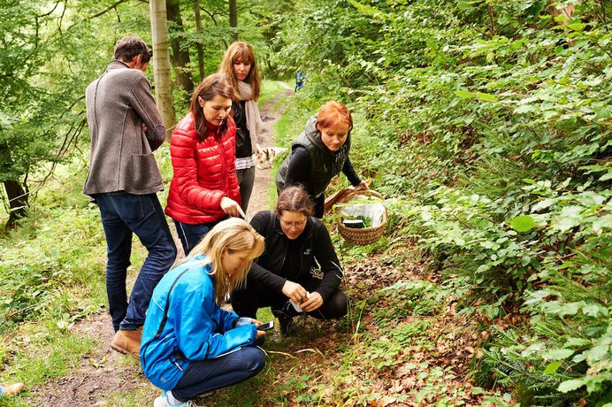 Imagen de los interiores del Naturkost-Hotel Harz. Foto 11