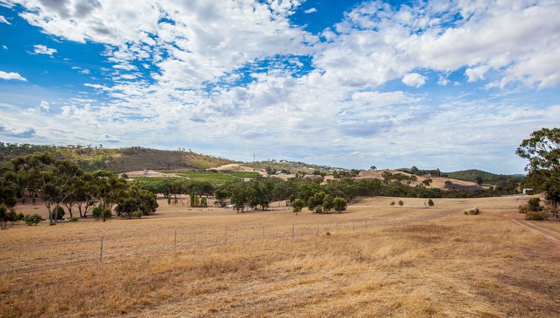 Imagen de los exteriores del Neagles Retreat Villas. Foto 17