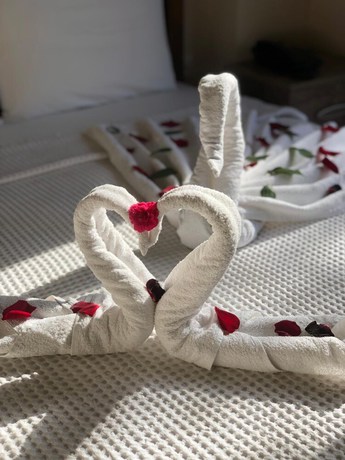 Imagen de la habitación del Nehir Suit Hotel. Foto 3