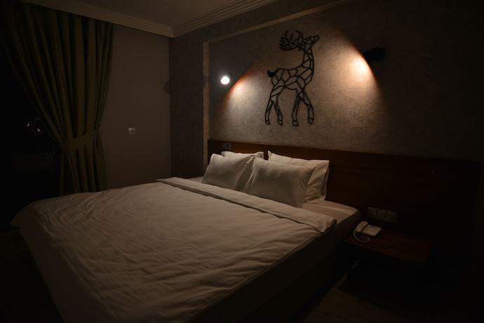 Imagen de la habitación del Nest Hotel, Uşak. Foto 8