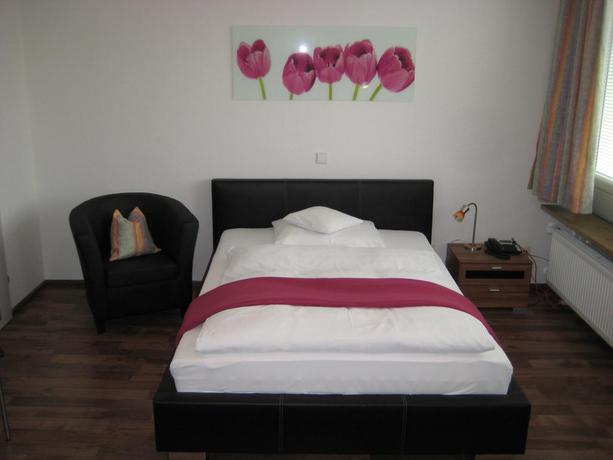 Imagen de la habitación del Neu Heidelberg - Guesthouse and Apartments. Foto 8