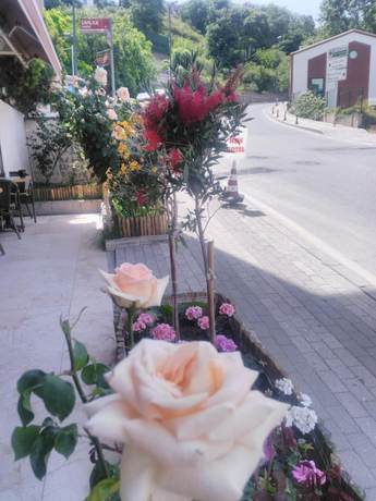 Imagen de los exteriores del New Beylerbeyi Hotel. Foto 18