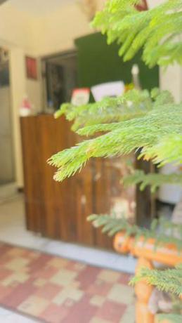 Imagen general del New G P Guest house. Foto 17