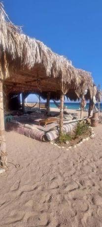 Imagen general del New Galluma Camp. Foto 2