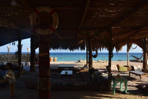 Imagen general del New Galluma Camp. Foto 4