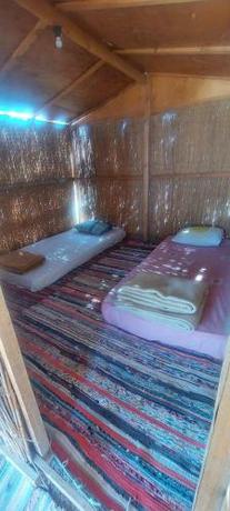 Imagen general del New Galluma Camp. Foto 5