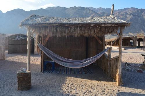 Imagen general del New Galluma Camp. Foto 8