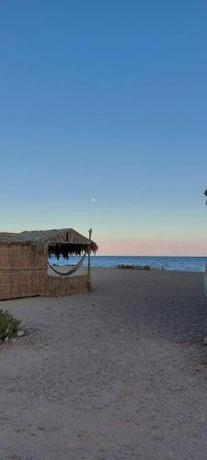 Imagen general del New Galluma Camp. Foto 9