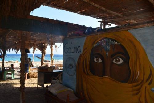 Imagen general del New Galluma Camp. Foto 10